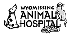 Wyomissing Animal Hospital